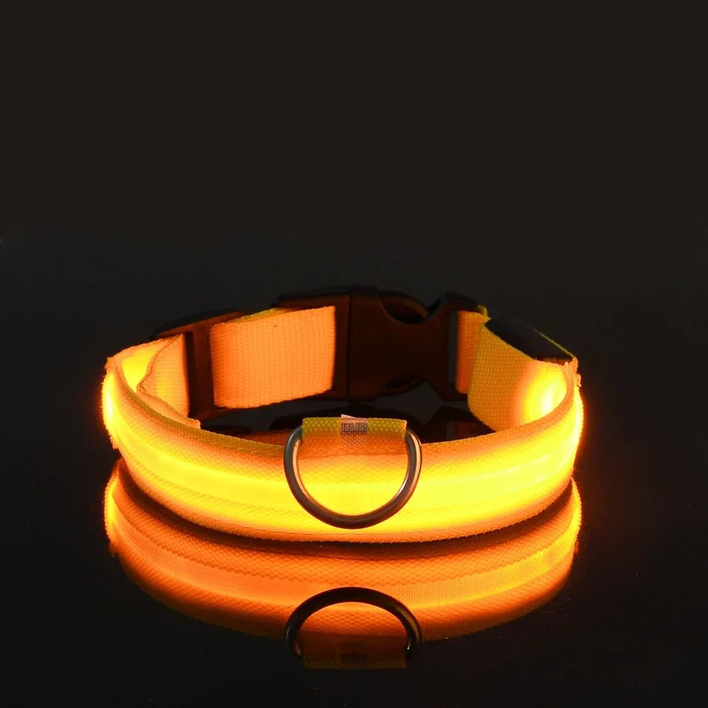 Collier pour chien LED de luxe pour une sécurité nocturne ultime