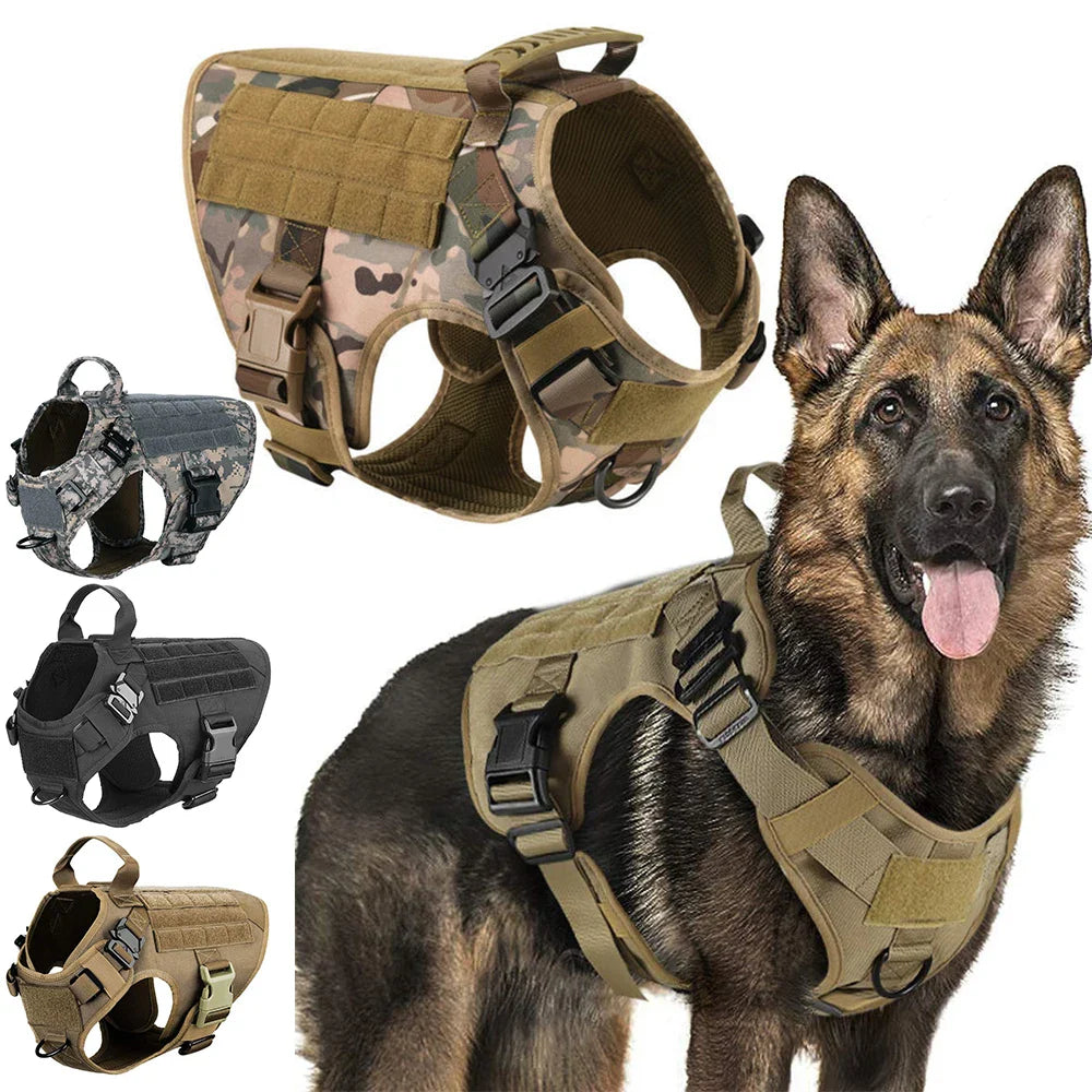 Harnais tactique confortable pour chien avec laisse pour une promenade sûre et élégante
