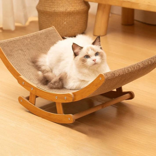 Chat griffu