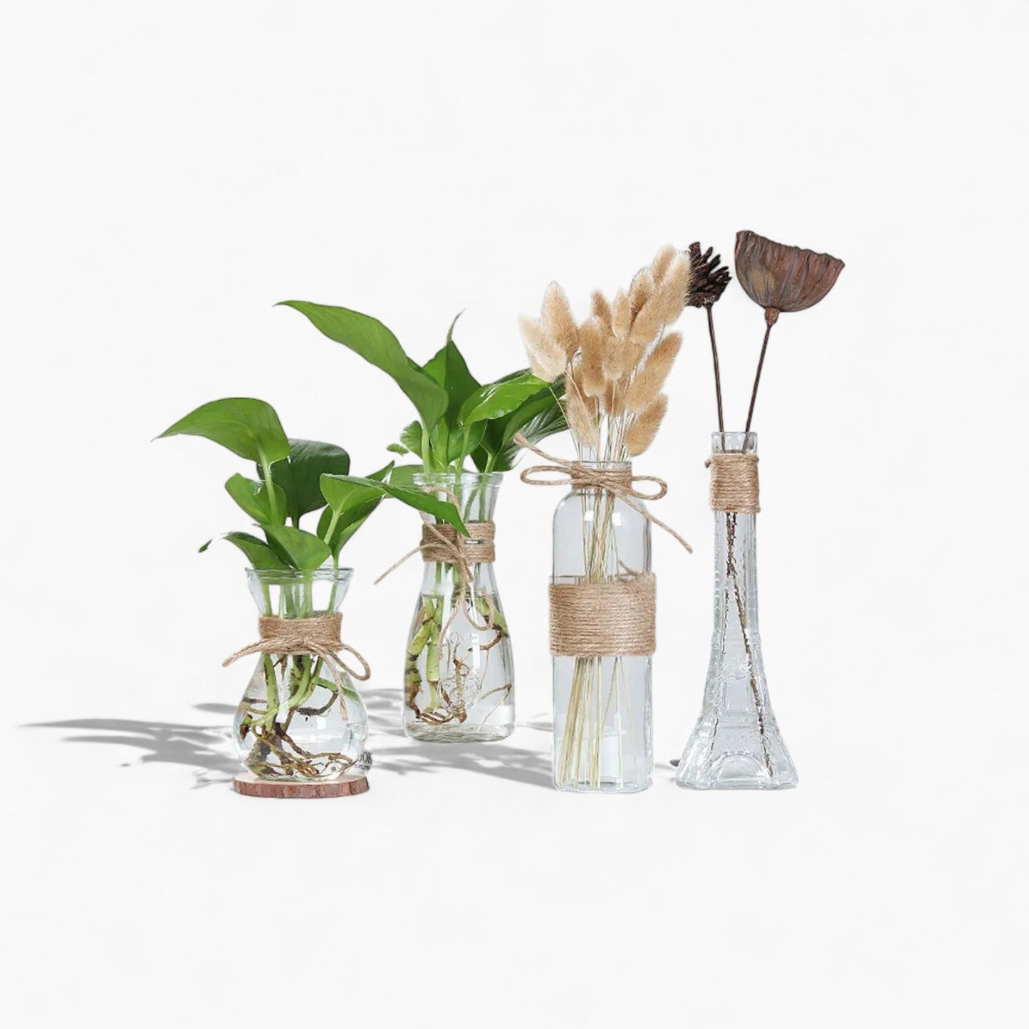 Vase en verre minimaliste - Décoration de table élégante
