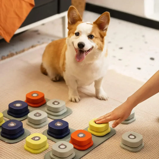 Ensemble de boutons d'animation pour une meilleure communication interactive avec les chiens