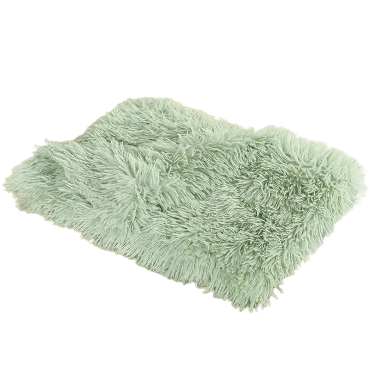 Lit de luxe pour chat pour un confort ultime et un repos douillet