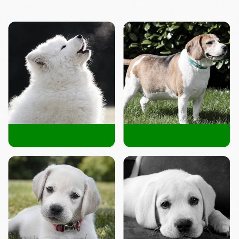 Tapis d'alimentation en silicone confortable et flexible pour une gestion facile des repas